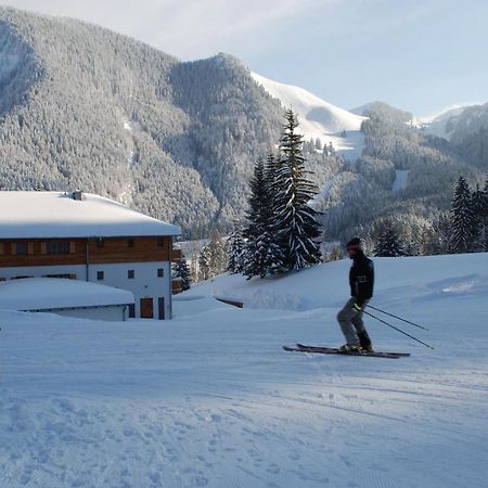 Blsv Sportcamp Direkt Am Kurvenlift Vandrarhem Schliersee Exteriör bild